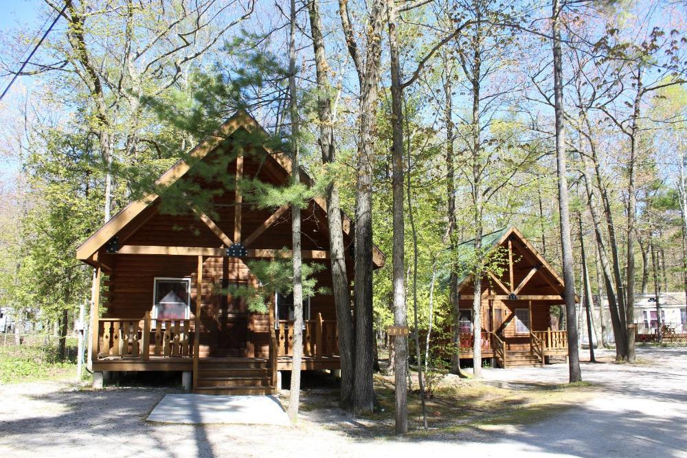 One-Bedroom Cabin interior
